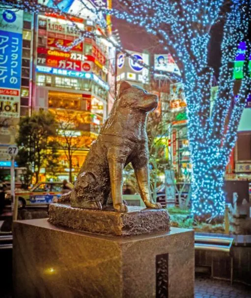 Excellent Hot Location, Shibuya Time Square Studio Apt! A423 Apartment Tokyo